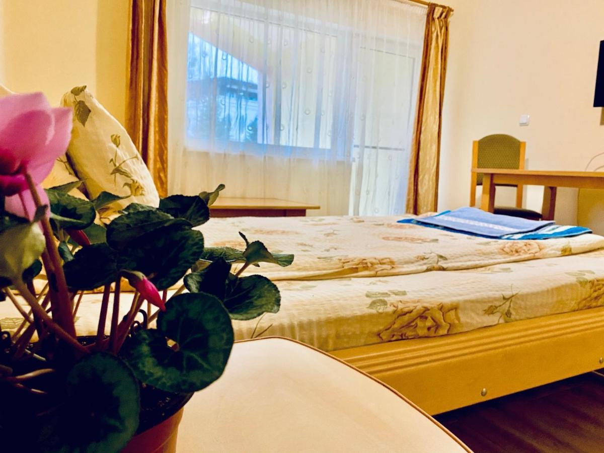 Hotel La Gradina Zalău Exteriér fotografie